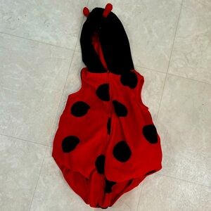 Ladybug costume